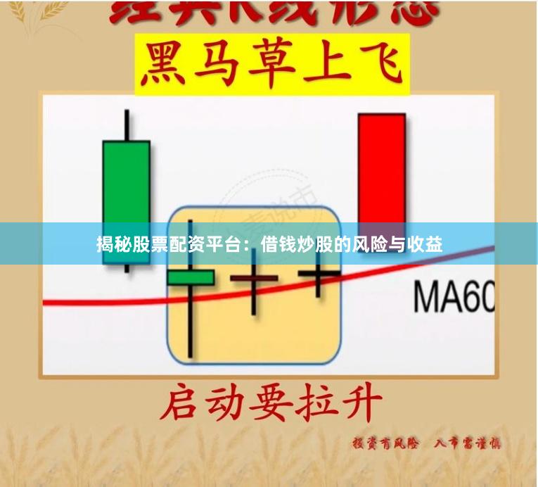 揭秘股票配资平台：借钱炒股的风险与收益