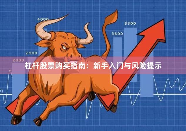 杠杆股票购买指南:新手入门与风险提示