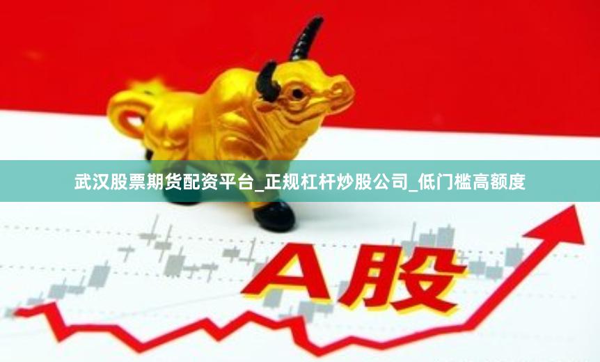 武汉股票期货配资平台_正规杠杆炒股公司_低门槛高额度